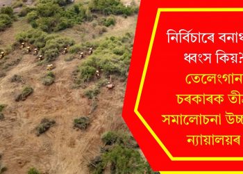 নিৰ্বিচাৰে বনাঞ্চল ধ্বংস কিয়? তেলেংগানা চৰকাৰক তীব্ৰ সমালোচনা উচ্চতম ন্যায়ালয়ৰ