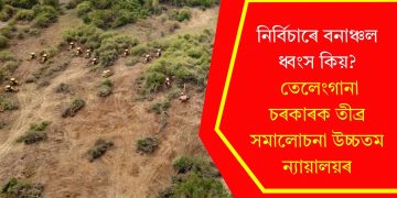 নিৰ্বিচাৰে বনাঞ্চল ধ্বংস কিয়? তেলেংগানা চৰকাৰক তীব্ৰ সমালোচনা উচ্চতম ন্যায়ালয়ৰ