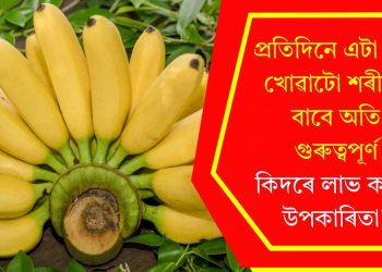 প্ৰতিদিনে এটা কল খোৱাটো শৰীৰৰ বাবে অতি গুৰুত্বপূৰ্ণ, কিদৰে লাভ কৰিব উপকাৰিতা?