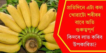 প্ৰতিদিনে এটা কল খোৱাটো শৰীৰৰ বাবে অতি গুৰুত্বপূৰ্ণ, কিদৰে লাভ কৰিব উপকাৰিতা?