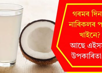 গৰমৰ দিনত নাৰিকলৰ পানী খাইনে? আছে এইসমূহ উপকাৰিতা…