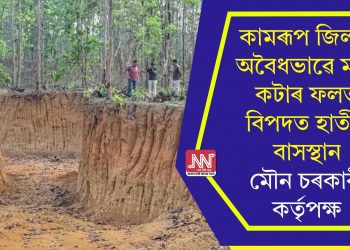 কামৰূপ জিলাৰ অবৈধভাৱে মাটি কটাৰ ফলত বিপদত হাতীৰ বাসস্থান, মৌন চৰকাৰী কৰ্তৃপক্ষ