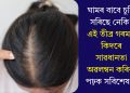 ঘামৰ বাবে চুলি সৰিছে নেকি? এই তীব্ৰ গৰমত কিদৰে সাৱধানতা অৱলম্বন কৰিব, পঢ়ক সবিশেষ…