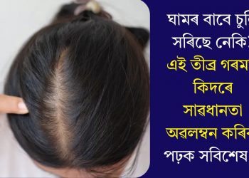 ঘামৰ বাবে চুলি সৰিছে নেকি? এই তীব্ৰ গৰমত কিদৰে সাৱধানতা অৱলম্বন কৰিব, পঢ়ক সবিশেষ…