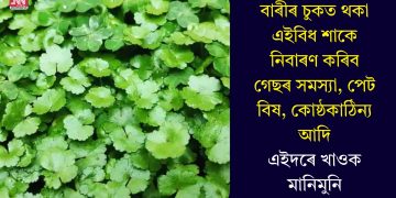 বাৰীৰ চুকত থকা এইবিধ শাকে নিবাৰণ কৰিব গেছৰ সমস্যা, পেট বিষ, কোষ্ঠকাঠিন্য আদি, এইদৰে খাওক মানিমুনি