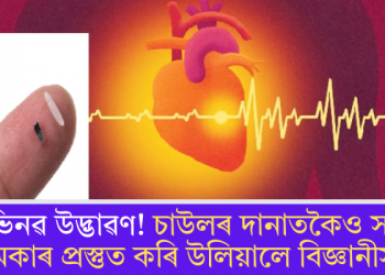 অভিনৱ উদ্ভাৱণ! চাউলৰ দানাতকৈও সৰু পেচমেকাৰ প্ৰস্তুত কৰি উলিয়ালে বিজ্ঞানীসকলে