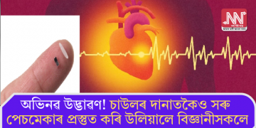 অভিনৱ উদ্ভাৱণ! চাউলৰ দানাতকৈও সৰু পেচমেকাৰ প্ৰস্তুত কৰি উলিয়ালে বিজ্ঞানীসকলে