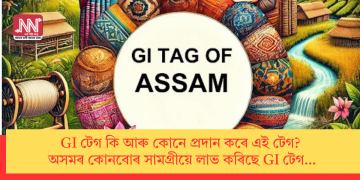 GI টেগ কি আৰু কোনে প্ৰদান কৰে এই টেগ? অসমৰ কোনবোৰ সামগ্ৰীয়ে লাভ কৰিছে GI টেগ…