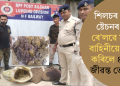 শিলচৰ ৰে’ল ষ্টেচনৰ পৰা ৰে’লৱে সুৰক্ষা বাহিনীয়ে উদ্ধাৰ কৰিলে ৪৫০টা জীৱন্ত ভেকুলী