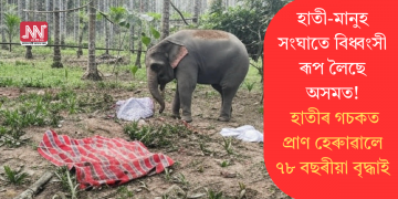 হাতী-মানুহ সংঘাতে বিধ্বংসী ৰূপ লৈছে অসমত! হাতীৰ গচকত প্ৰাণ হেৰুাৱালে ৭৮ বছৰীয়া বৃদ্ধাই