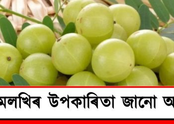 আমলখিৰ উপকাৰিতা জানো আহক
