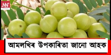আমলখিৰ উপকাৰিতা জানো আহক
