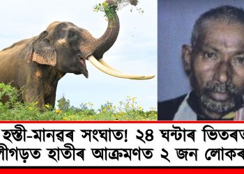 হস্তী-মানৱৰ সংঘাত! ২৪ ঘন্টাৰ ভিতৰত নুমলীগড়ত হাতীৰ আক্ৰমণত ২ জন লোকৰ মৃত্যু