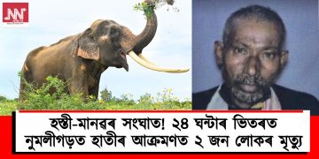 হস্তী-মানৱৰ সংঘাত! ২৪ ঘন্টাৰ ভিতৰত নুমলীগড়ত হাতীৰ আক্ৰমণত ২ জন লোকৰ মৃত্যু