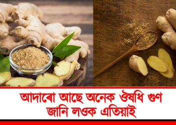 আদাৰো আছে অনেক ঔষধি গুণ : জানি লওক এতিয়াই