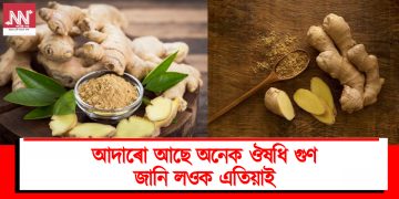 আদাৰো আছে অনেক ঔষধি গুণ : জানি লওক এতিয়াই