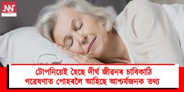 টোপনিয়েই হৈছে দীৰ্ঘ জীৱনৰ চাবিকাঠি : গৱেষণাত পোহৰলৈ আহিছে আশ্চৰ্যজনক তথ্য