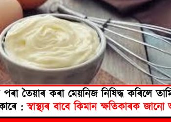 কণীৰ পৰা তৈয়াৰ কৰা মেয়নিজ নিষিদ্ধ কৰিলে তামিলনাদুৰ চৰকাৰে : স্বাস্থ্যৰ বাবে কিমান ক্ষতিকাৰক জানো আহক