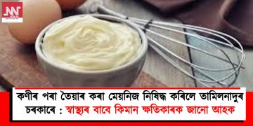 কণীৰ পৰা তৈয়াৰ কৰা মেয়নিজ নিষিদ্ধ কৰিলে তামিলনাদুৰ চৰকাৰে : স্বাস্থ্যৰ বাবে কিমান ক্ষতিকাৰক জানো আহক