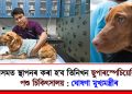অসমত স্থাপনৰ কৰা হ’ব তিনিখন ছুপাৰস্পেচিয়েলিষ্ট পশু চিকিৎসালয় : ঘোষণা মুখ্যমন্ত্ৰীৰ