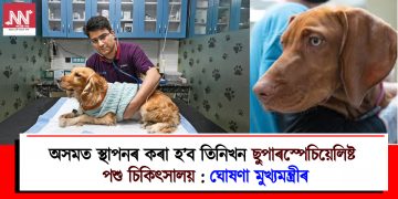 অসমত স্থাপনৰ কৰা হ’ব তিনিখন ছুপাৰস্পেচিয়েলিষ্ট পশু চিকিৎসালয় : ঘোষণা মুখ্যমন্ত্ৰীৰ