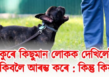 কুকুৰে কিছুমান লোকক দেখিলেই ভুকিবলৈ আৰম্ভ কৰে : কিন্তু কিয়?