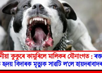 পোহনীয়া কুকুৰে কামুৰিলে মালিকৰ যৌনাংগত : ৰক্তক্ষৰণৰ ফলত হৃদয় বিদাৰক মৃত্যুক সাৱটি ল’লে হায়দৰাবাদৰ যুৱকে