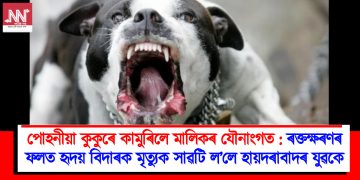 পোহনীয়া কুকুৰে কামুৰিলে মালিকৰ যৌনাংগত : ৰক্তক্ষৰণৰ ফলত হৃদয় বিদাৰক মৃত্যুক সাৱটি ল’লে হায়দৰাবাদৰ যুৱকে