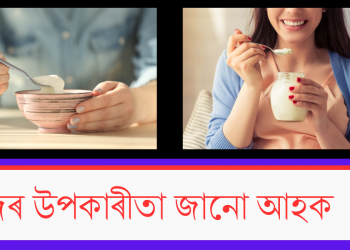 দৈৰ উপকাৰীতা জানো আহক