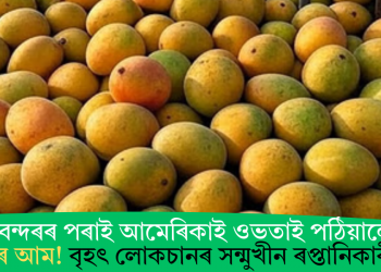 বিমানবন্দৰৰ পৰাই আমেৰিকাই ওভতাই পঠিয়ালে ভাৰতৰ আম! বৃহৎ লোকচানৰ সন্মুখীন ৰপ্তানিকাৰী