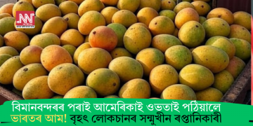 বিমানবন্দৰৰ পৰাই আমেৰিকাই ওভতাই পঠিয়ালে ভাৰতৰ আম! বৃহৎ লোকচানৰ সন্মুখীন ৰপ্তানিকাৰী