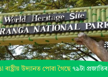 কাজিৰঙা ৰাষ্ট্ৰীয় উদ্যানত পোৱা গৈছে ৭৯টা প্ৰজাতিৰ অৰ্কিড