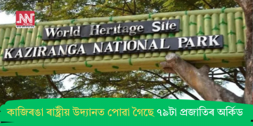 কাজিৰঙা ৰাষ্ট্ৰীয় উদ্যানত পোৱা গৈছে ৭৯টা প্ৰজাতিৰ অৰ্কিড
