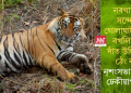 নৰখাদকৰ সন্দেহত গোলাঘাটত ছাল বখলিয়াই, দাঁত উলিয়াই, ঠেং কাটি নৃশংসভাৱে হত্যা ঢেকীয়াপতীয়া!