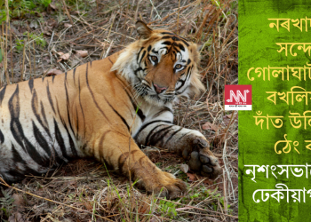 নৰখাদকৰ সন্দেহত গোলাঘাটত ছাল বখলিয়াই, দাঁত উলিয়াই, ঠেং কাটি নৃশংসভাৱে হত্যা ঢেকীয়াপতীয়া!
