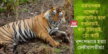 নৰখাদকৰ সন্দেহত গোলাঘাটত ছাল বখলিয়াই, দাঁত উলিয়াই, ঠেং কাটি নৃশংসভাৱে হত্যা ঢেকীয়াপতীয়া!