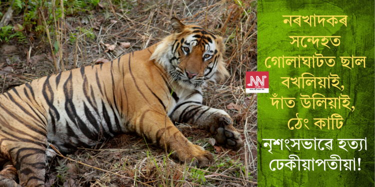 প্ৰতিনিধিত্বমূলক ফটো।