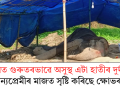 নগাঁৱত গুৰুতৰভাৱে অসুস্থ এটা হাতীৰ দুৰ্দশাই বন্যপ্ৰেমীৰ মাজত সৃষ্টি কৰিছে ক্ষোভৰ