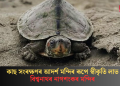 কাছ সংৰক্ষণৰ আদৰ্শ মন্দিৰ ৰূপে স্বীকৃতি লাভ বিশ্বনাথৰ নাগশংকৰ মন্দিৰ