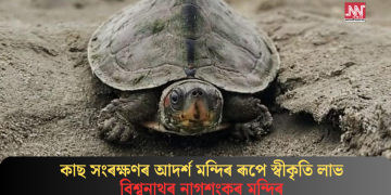 কাছ সংৰক্ষণৰ আদৰ্শ মন্দিৰ ৰূপে স্বীকৃতি লাভ বিশ্বনাথৰ নাগশংকৰ মন্দিৰ
