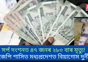 সৰ্প দংশনত ৪৭ জনৰ ২৮০ বাৰ মৃত্যু! বিজেপি শাসিত মধ্যপ্ৰদেশত বিয়াগোম দুৰ্নীতি