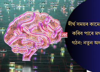 দীৰ্ঘ সময়ৰ কামে সলনি কৰিব পাৰে মগজুৰ গঠন: নতুন অধ্যয়ন