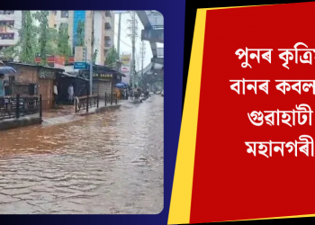 পুনৰ কৃত্ৰিম বানৰ কবলত গুৱাহাটী মহানগৰী