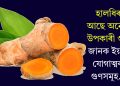 হালধিৰ আছে অনেক উপকাৰী গুণ, জানক ইয়াৰ যোগাত্মক গুণসমূহ…
