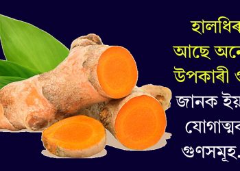 হালধিৰ আছে অনেক উপকাৰী গুণ, জানক ইয়াৰ যোগাত্মক গুণসমূহ…