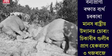বন্যপ্ৰাণী ৰক্ষাত ব্যৰ্থ চৰকাৰ! মানস ৰাষ্ট্ৰীয় উদ্যানত চোৰাং চিকাৰীৰ গুলীৰ প্ৰাণ হেৰুৱালে ৩ গজৰাজে
