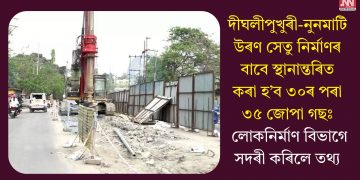 দীঘলীপুখুৰী-নুনমাটি উৰণ সেতু নিৰ্মাণৰ বাবে স্থানান্তৰিত কৰা হ’ব ৩০ৰ পৰা ৩৫ জোপা গছঃ লোকনিৰ্মাণ বিভাগে সদৰী কৰিলে তথ্য