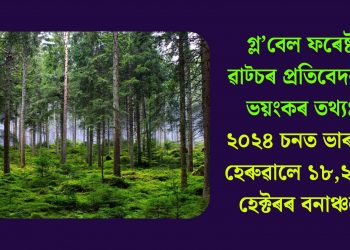গ্ল’বেল ফৰেষ্ট ৱাট্চৰ প্ৰতিবেদনত ভয়ংকৰ তথ্যঃ ২০২৪ চনত ভাৰতে হেৰুৱালে ১৮,২০০ হেক্টৰৰ বনাঞ্চল