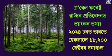 গ্ল’বেল ফৰেষ্ট ৱাট্চৰ প্ৰতিবেদনত ভয়ংকৰ তথ্যঃ ২০২৪ চনত ভাৰতে হেৰুৱালে ১৮,২০০ হেক্টৰৰ বনাঞ্চল