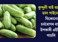 কুন্দুলী খাই আপুনি ভাল পায়নে? যিকোনো চৰ্মৰোগৰ বাবে উপকাৰী এইবিধ পাচলি